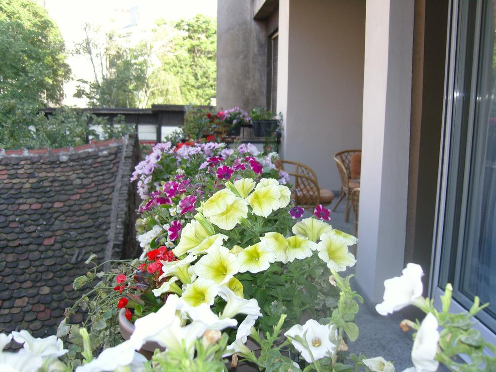 Apartment Deligradska Belgrade Extérieur photo